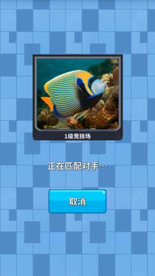 宠物战争
