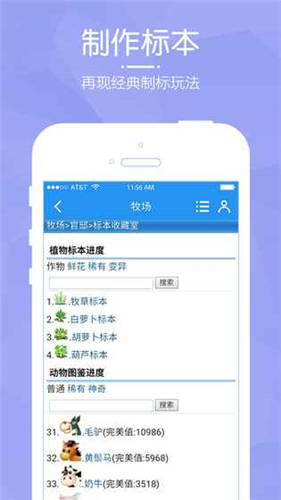 阳光牧场