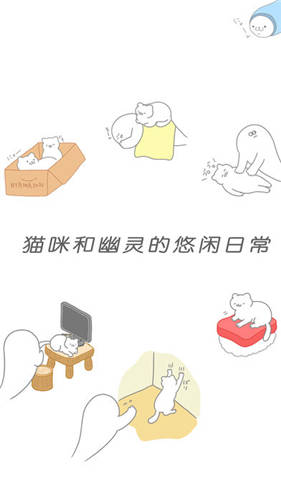 猫咪可爱 我是幽灵