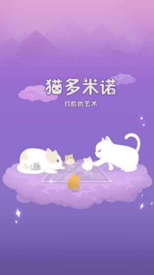 猫多米诺：打脸的艺术