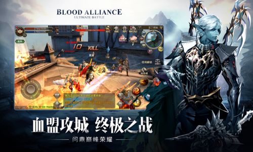 天堂2：血盟