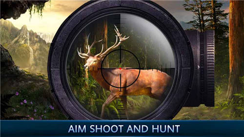 动物狙击手鹿狩猎