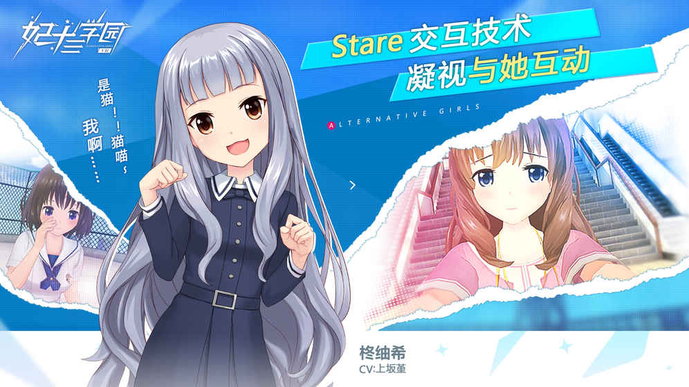 妃十三学园B站下载