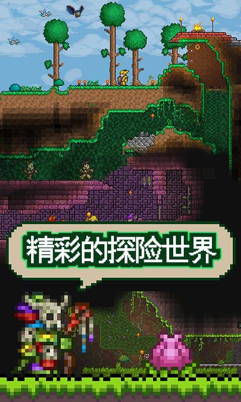 泰拉瑞亚国服