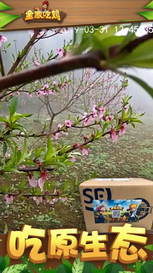 全家吃鸡官网下载