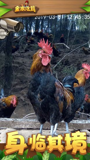 全家吃鸡官网下载