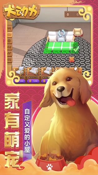 犬动力官网下载
