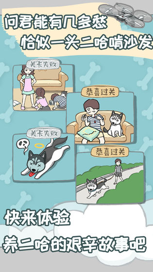 养只二哈不容易测试版下载