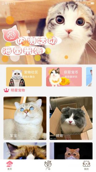 新版猫咪社区app安卓下载