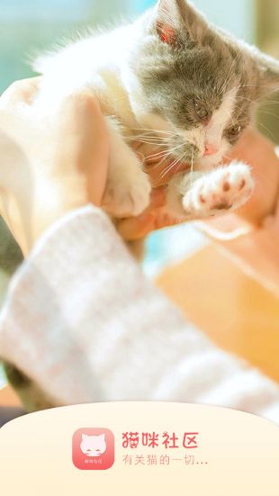 猫咪社区app最新手机版