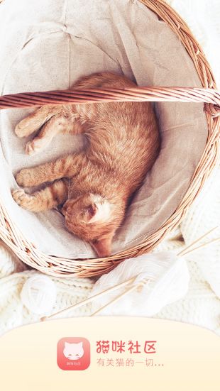 猫咪社区app最新手机版