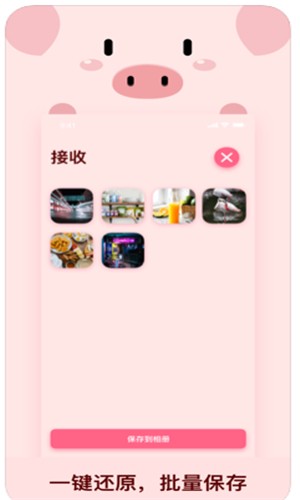 小猪快传vip破解版下载