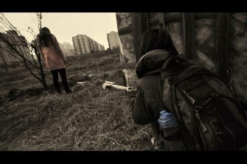 DayZ汉化版下载