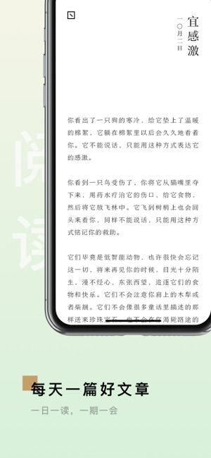 岛读app官方正版下载