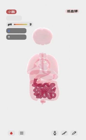 生命模拟器安卓下载