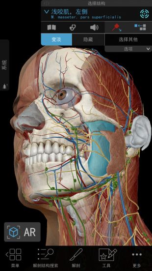 人体解剖学图谱破解版下载