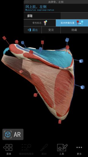 Human Anatomy Atlas 2021最新破解