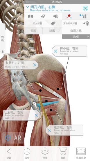 人体解剖学图谱破解版下载