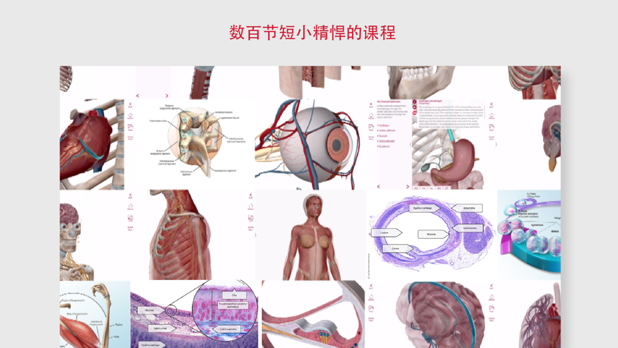 解剖和生理学app破解版安卓6.2