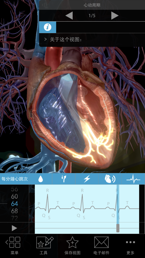 Physiology Pathology中文破解下载