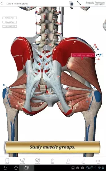 muscle premium内购版下载