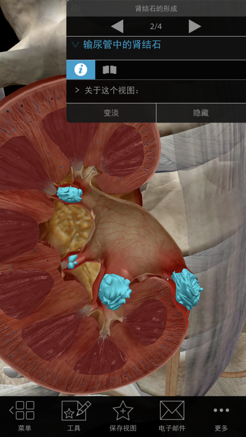 Physiology Pathology中文破解下载