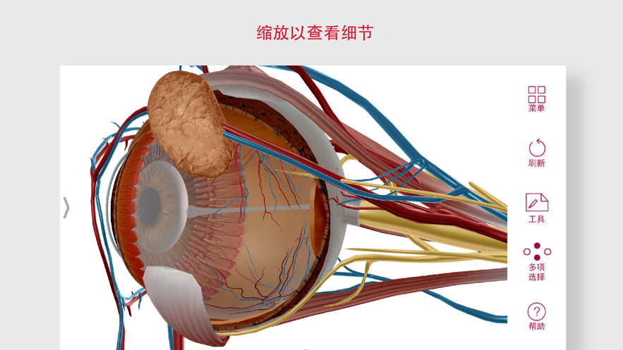 Anatomy Physiology下载