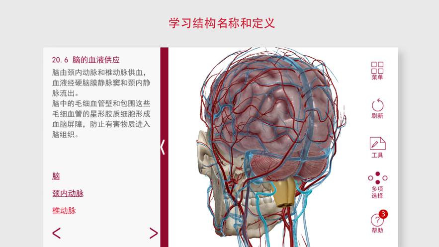解剖和生理学app手机免费下载