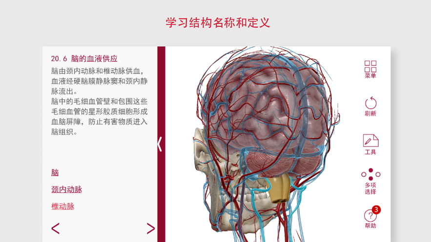 解剖和生理学app破解版安卓6.2