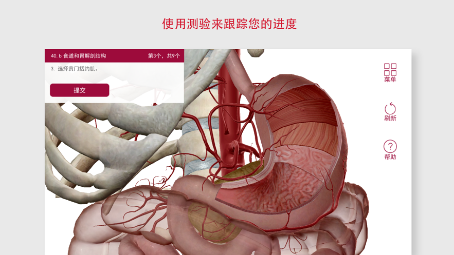 解剖和生理学app破解版安卓6.2