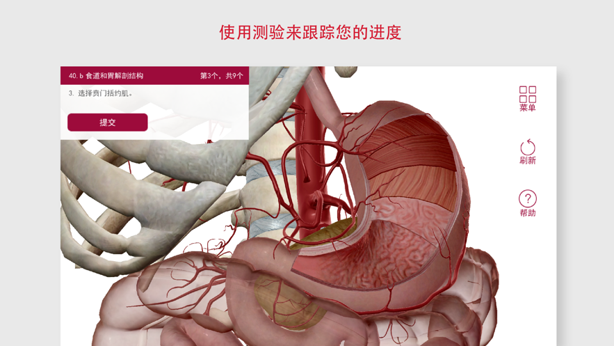 Anatomy Physiology下载