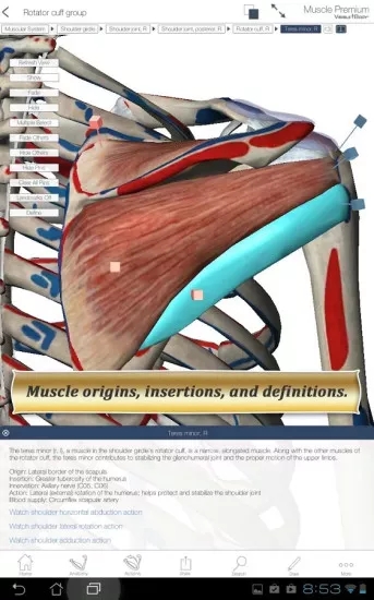 muscle premium内购版下载