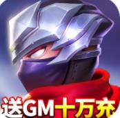 忍者意志-GM开局十万充