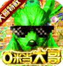 真命-送大哥特权