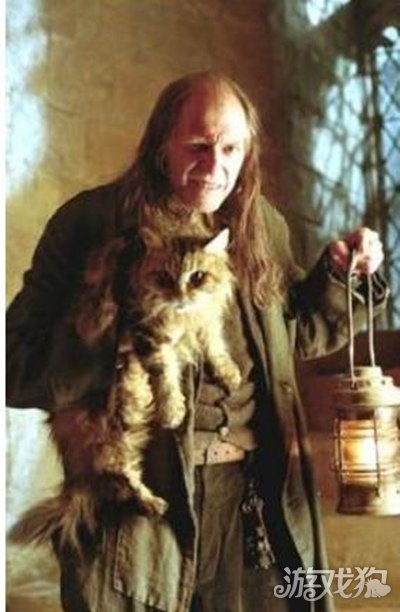 哈利波特魔法觉醒谁养了这只叫洛里斯夫人的猫