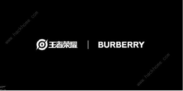 王者荣耀Burberry联名皮肤是谁的 Burberry联名皮肤一览[多图]