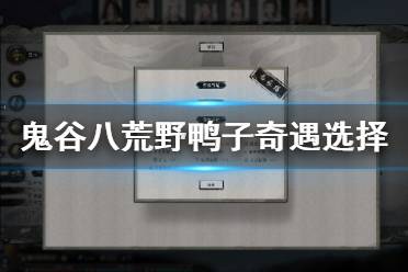 《鬼谷八荒》野鸭子奇遇怎么选 野鸭子奇遇选择推荐