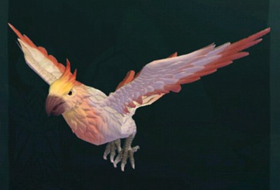 创造与魔法云斑鹦鸟刷新点汇总 云斑鹦鸟在哪